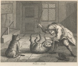 O Apanhador de Ratos e Gatos