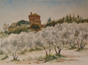 883 Pal Massaini, nr Pienza de Wilson Clive