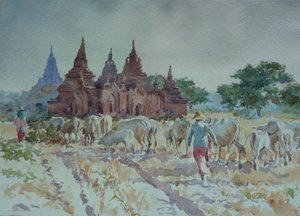 928 Bagan, pastoreio doméstico de Wilson Clive