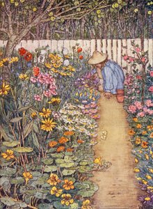 Livro infantil de jardinagem: Um canteiro de herbáceas (litografia a cores)
