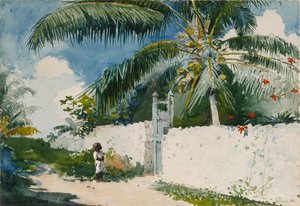 Um jardim em Nassau de Winslow Homer