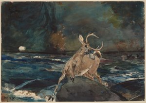  de Winslow Homer