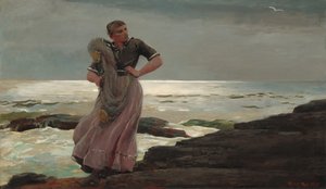 Uma luz no mar de Winslow Homer