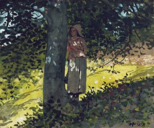 Um ponto obscuro, Houghton Farm, 1878 de Winslow Homer