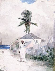 Ao longo da estrada, as Bahamas, 1885 de Winslow Homer