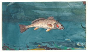 Canal Baixo de Winslow Homer