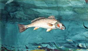 Channel Bass de Winslow Homer