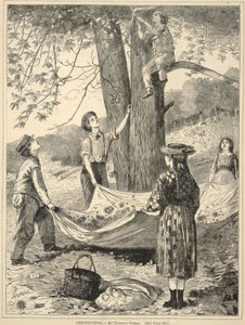 Chestnutting, de Every Saturday: An Illustrated Journal of Choice Reading, 29 de outubro de 1870 de Winslow Homer