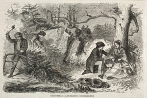 Natal – Árvores perenes para a época festiva de Winslow Homer