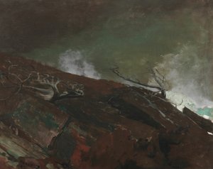 Costa do Maine de Winslow Homer