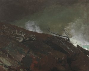 Costa do Maine, 1893 de Winslow Homer