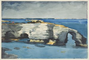 paisagem de Winslow Homer
