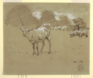 Desenho, Ovelhas a pastar num campo, ca. 1875-78 de Winslow Homer