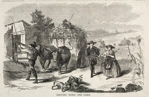 Dirigindo para casa o milho, 1858. de Winslow Homer