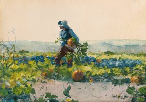 Para ser um rapaz agricultor de Winslow Homer