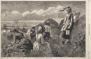  de Winslow Homer