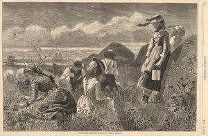 Colhendo Bagas, de Harper de Winslow Homer