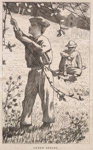 Maçãs verdes de Winslow Homer