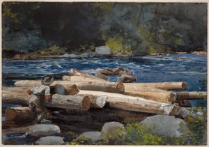 Rio Hudson de Winslow Homer