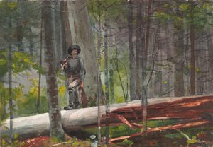  de Winslow Homer