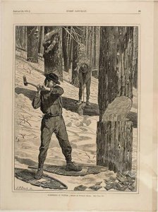 A madeira no Inverno de Winslow Homer