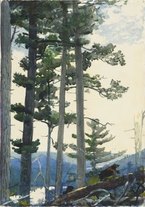 Antigos colonos de Winslow Homer
