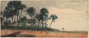 Palmeiras, Vermelho de Winslow Homer