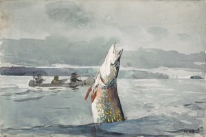 Lake St. John de Winslow Homer