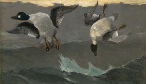 Direita esquerda de Winslow Homer