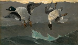 Direita e esquerda de Winslow Homer