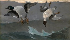  de Winslow Homer