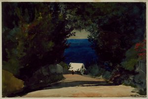 Estrada nas Bermudas, c.1899-1901 (aguarela sobre papel) de Winslow Homer