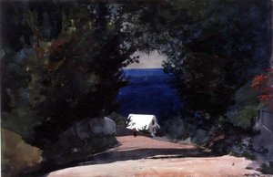 Estrada nas Bermudas, c.1899-1901 (aguarela sobre lápis sobre papel) de Winslow Homer