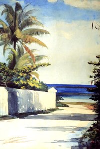 Estrada em Nassau, 1898-99 de Winslow Homer