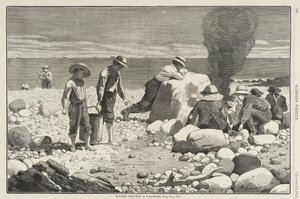  de Winslow Homer