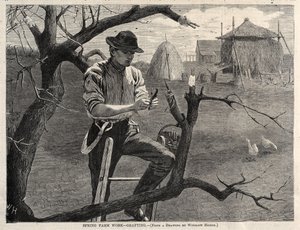  de Winslow Homer