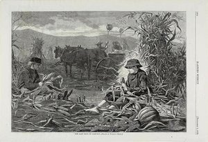 Os últimos dias da colheita de Winslow Homer