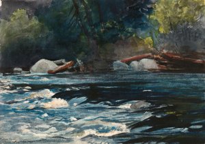 The Rapids, Rio Hudson, Adirondacks de Winslow Homer
