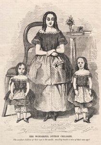 As Crianças Maravilhosas de Dutton, 1859. de Winslow Homer