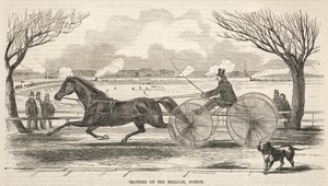 Trotando na represa de Mill, Boston, 1859. de Winslow Homer