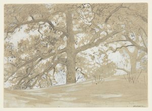 Carvalhos Waverly de Winslow Homer