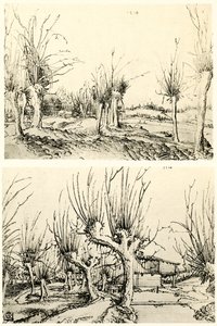 Paisagens com árvores de salgueiro de Wolf Huber