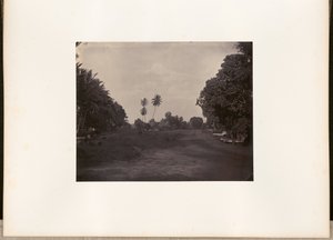 [Trabalhos de pavimentação da estrada em Prapatan, Batavia] de Woodbury and Page