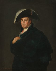 O Duque de Wellington de Workshop of Francisco Goya