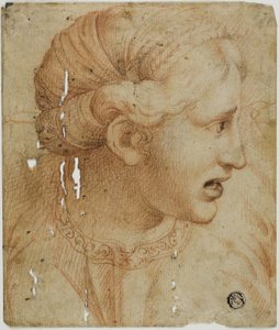 Cabeça de mulher de perfil, virada para a direita de Workshop of Raphael