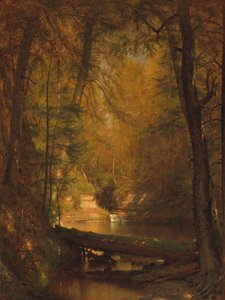 Trout Pool, 1870.