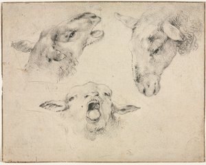 Cabeças de ovelha de Wouter Verschuur