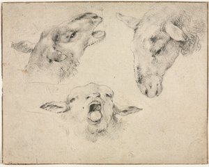 Cabeças de ovelhas, segundo ou terceiro trimestre de 1800.