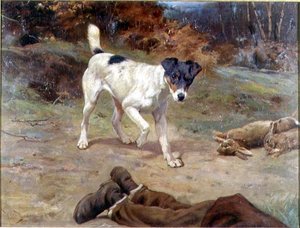 Um Jack Russell por um buraco de coelho