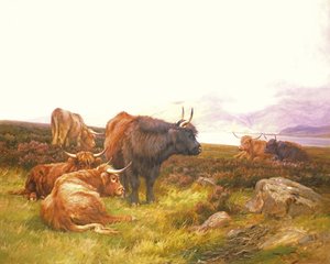 Highlanders por um lago